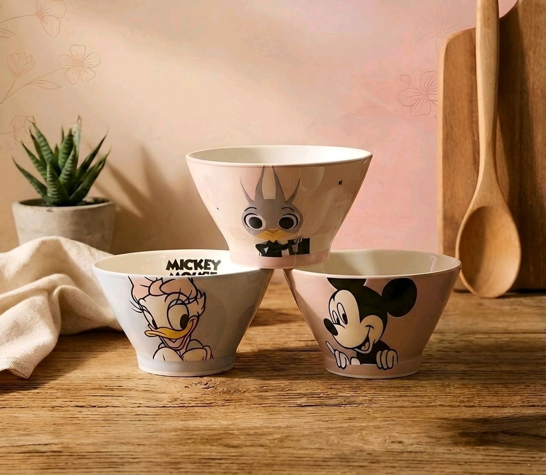 Disney Character  Porcelain Bowl Set – 3 Pieces
